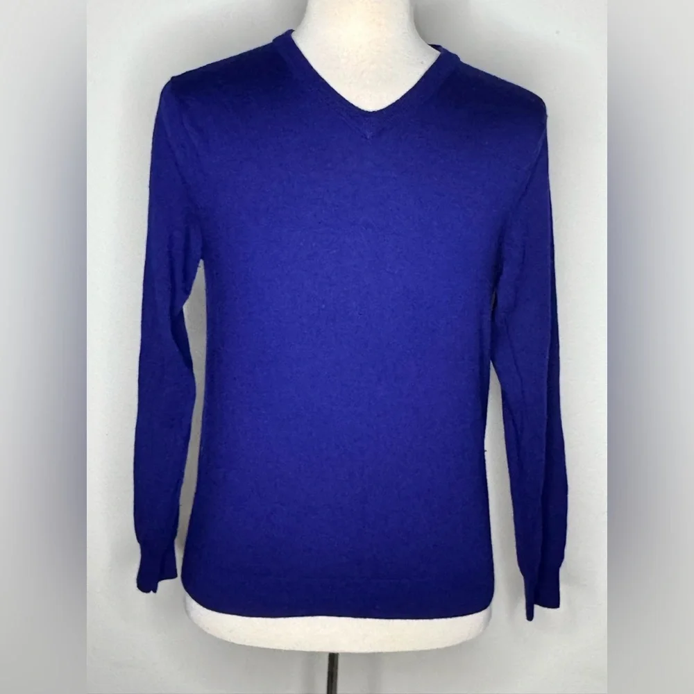 J. Crew Sweater V neck long sleeve blue size large 100% MERINO WOOL